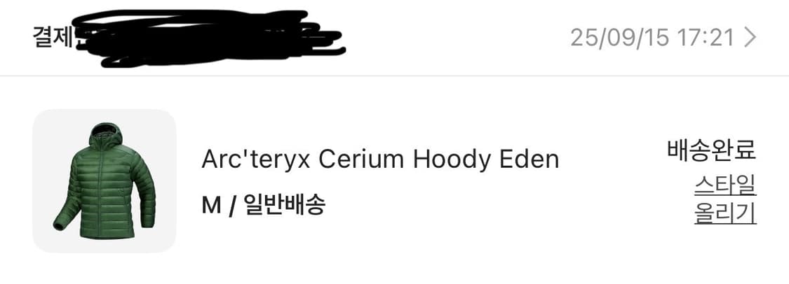 아크테릭스세륨후디에덴그린패딩(m)25.9구매 상품이미지5