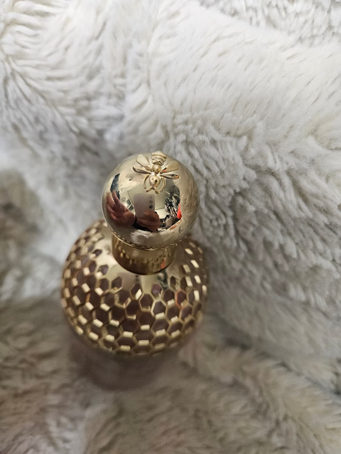 겔랑 아쿠아 알레고리아 플로라 체리시아 향수 125ml 상품이미지4