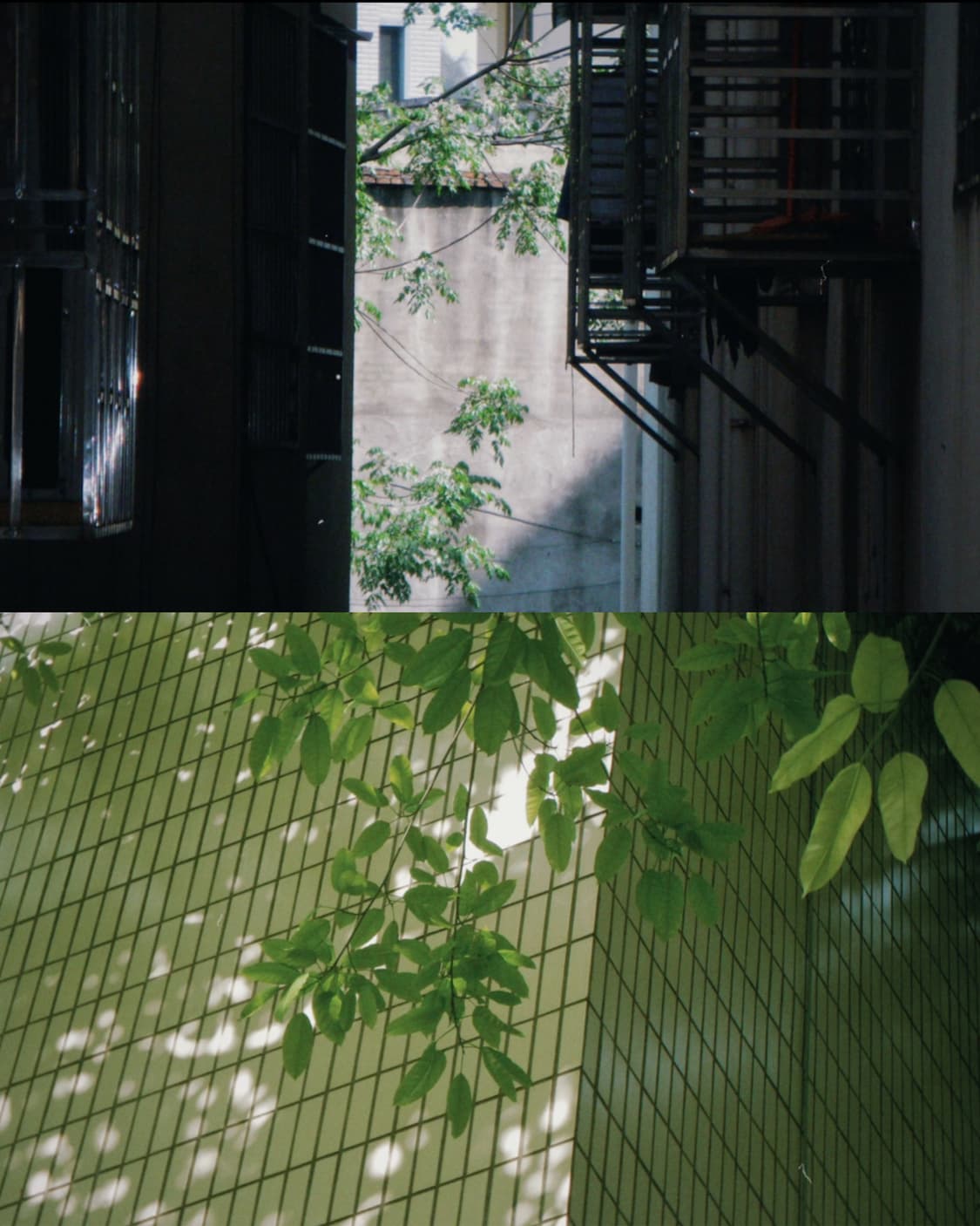 Pentax Optio W60 상품이미지2