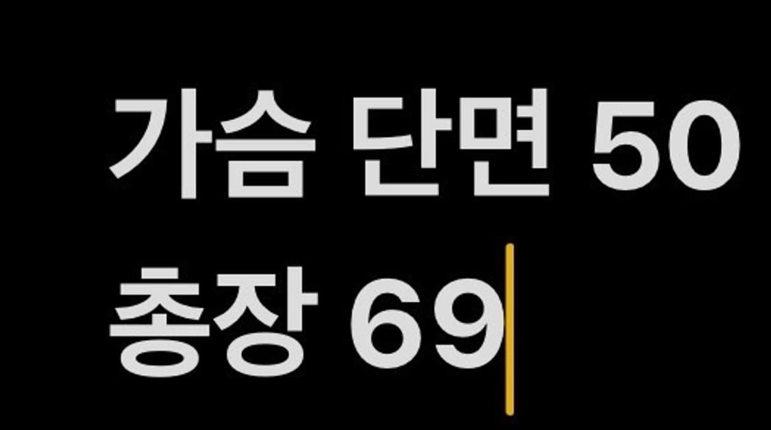 [정품/90] 롯데 자이언츠 네포스 유니폼 47 마킹 b16 상품이미지7