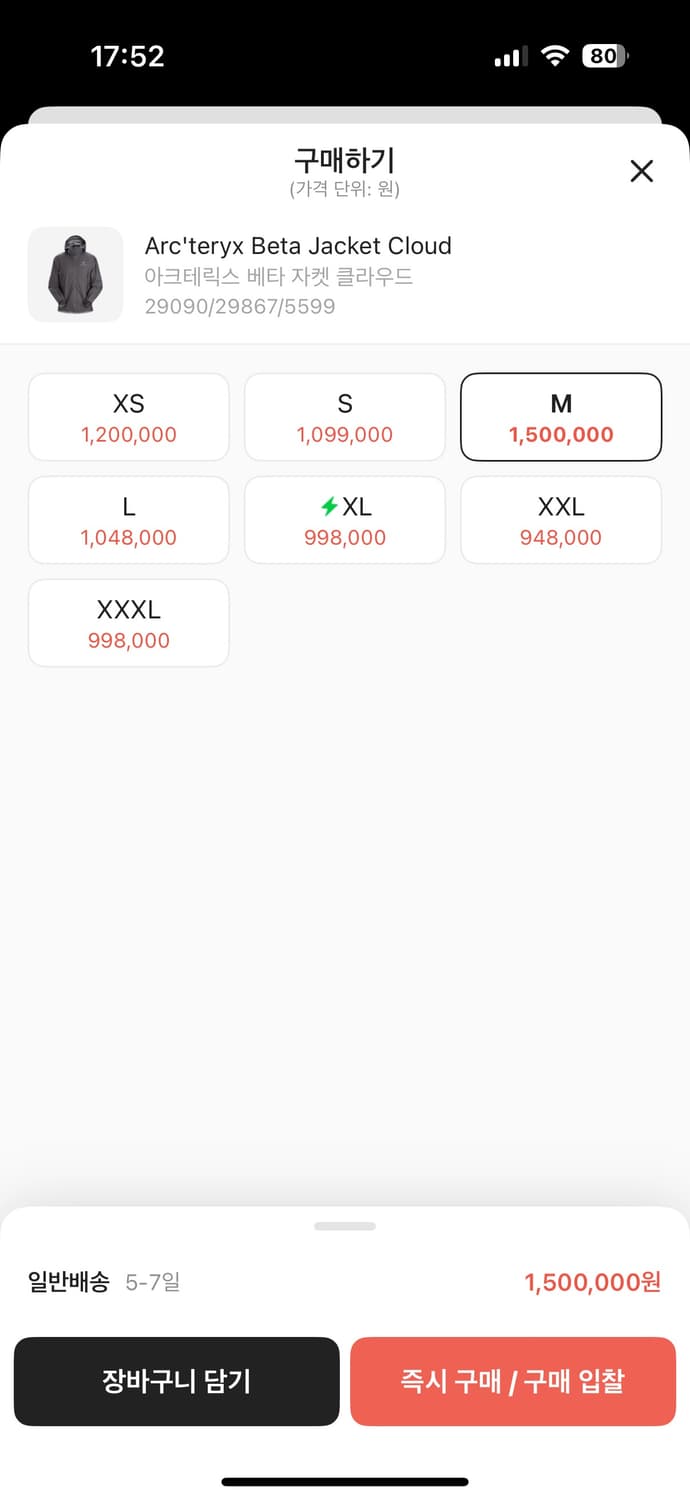 아크테릭스 베타 자켓 클라우드 상품이미지6