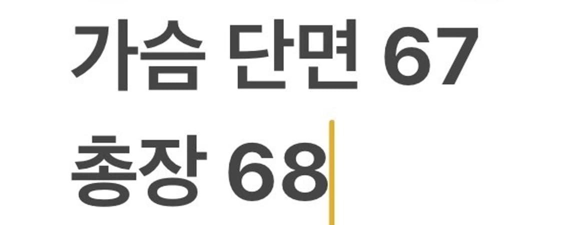 [정품/L] 에스피오나지 블랙 네이비 패딩 점퍼 b8 상품이미지10