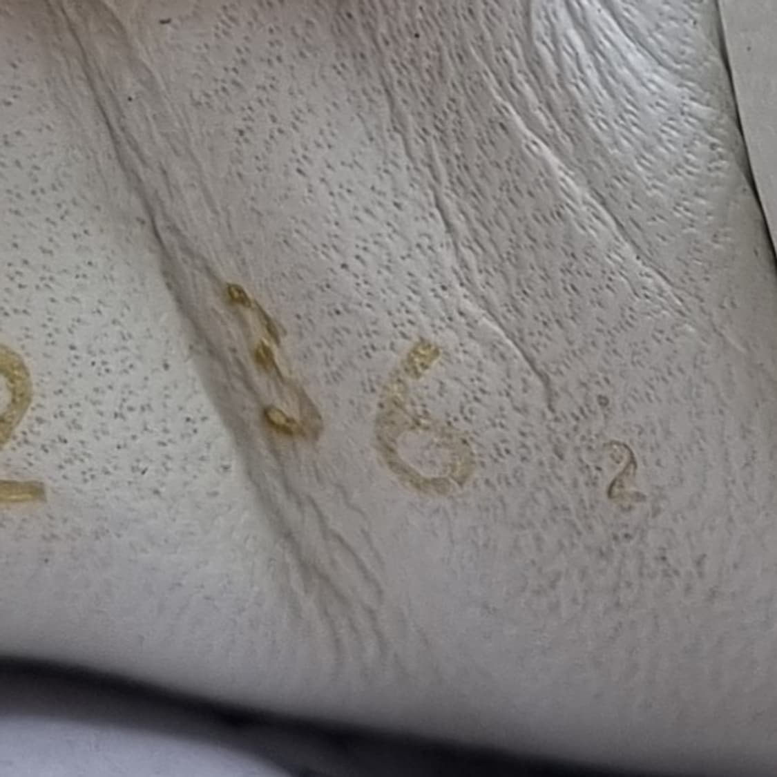 발렌티노 스트랩 여성스니커즈36.5. 225-230 상품이미지6