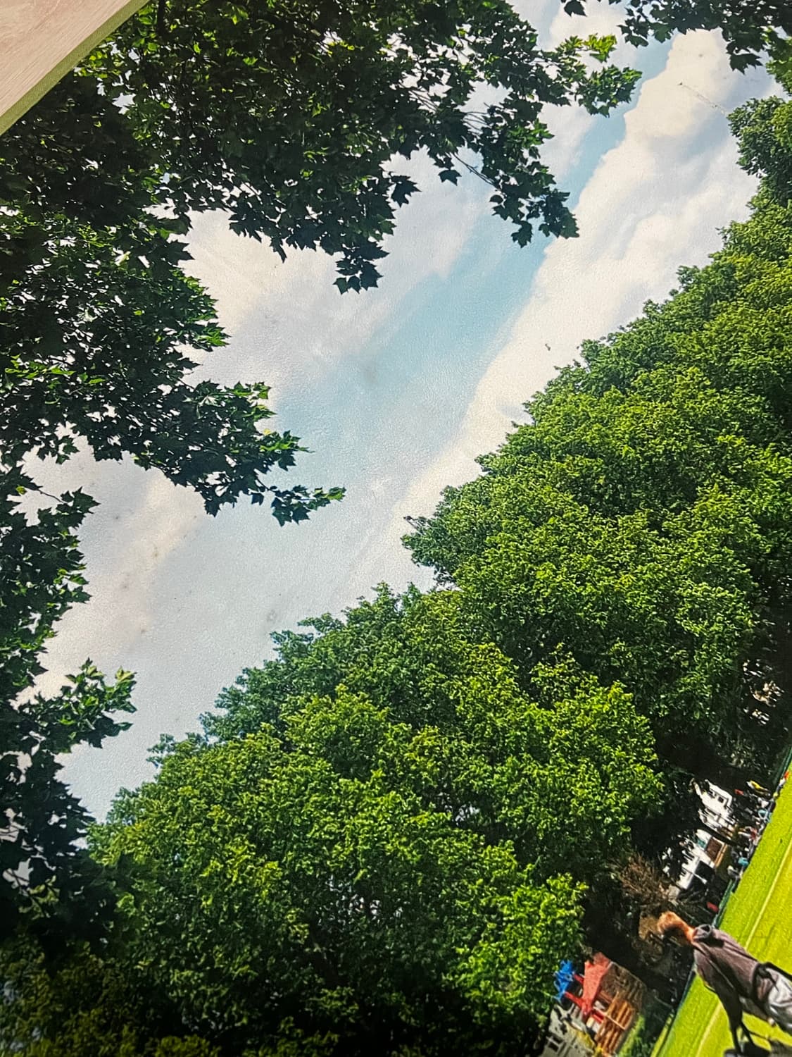 플러피아카이브 러그 상품이미지4