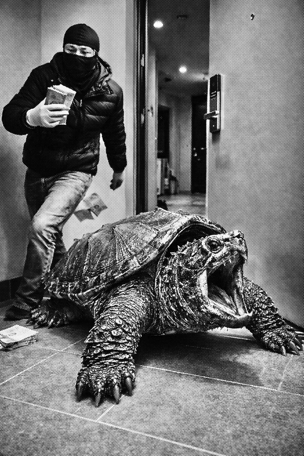 늑북이 티셔츠 ver.2 상품이미지2