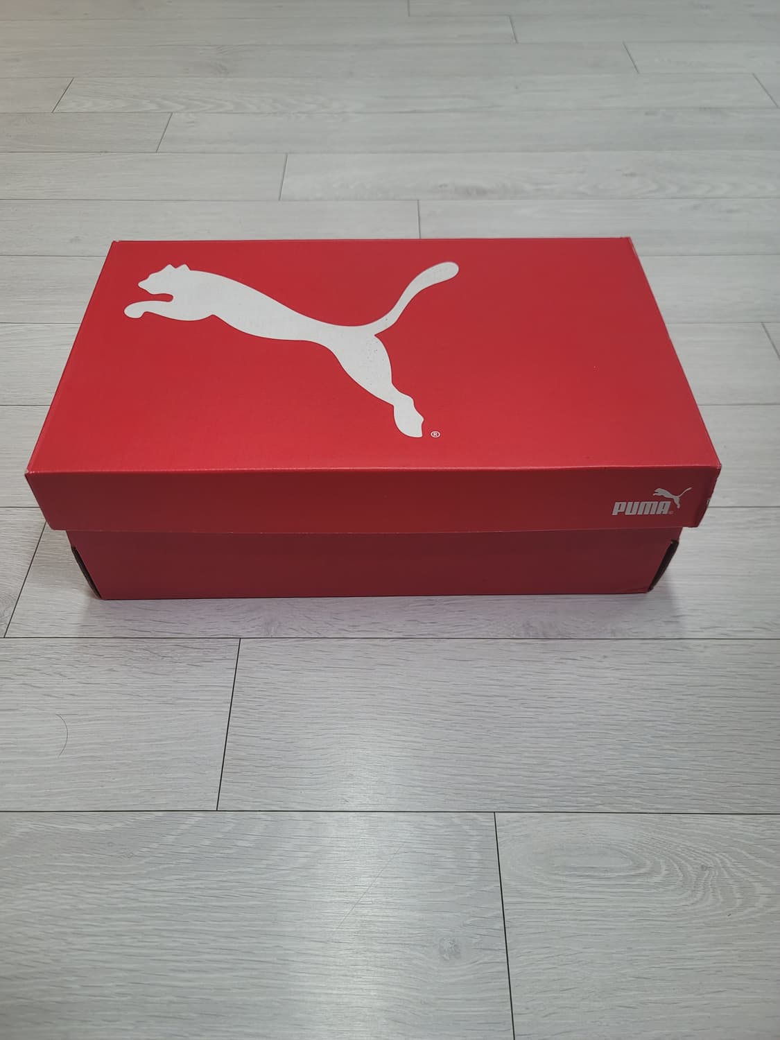 (260)푸마 풋살화 울트라 플레이 TT[대전 직거래도 가능] 상품이미지2