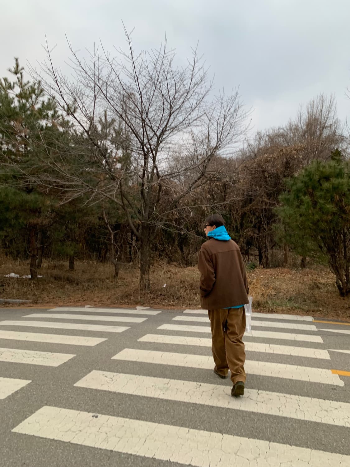 아크테릭스 베타 LT 블루테트라 Arcteryx Beta LT 상품이미지7