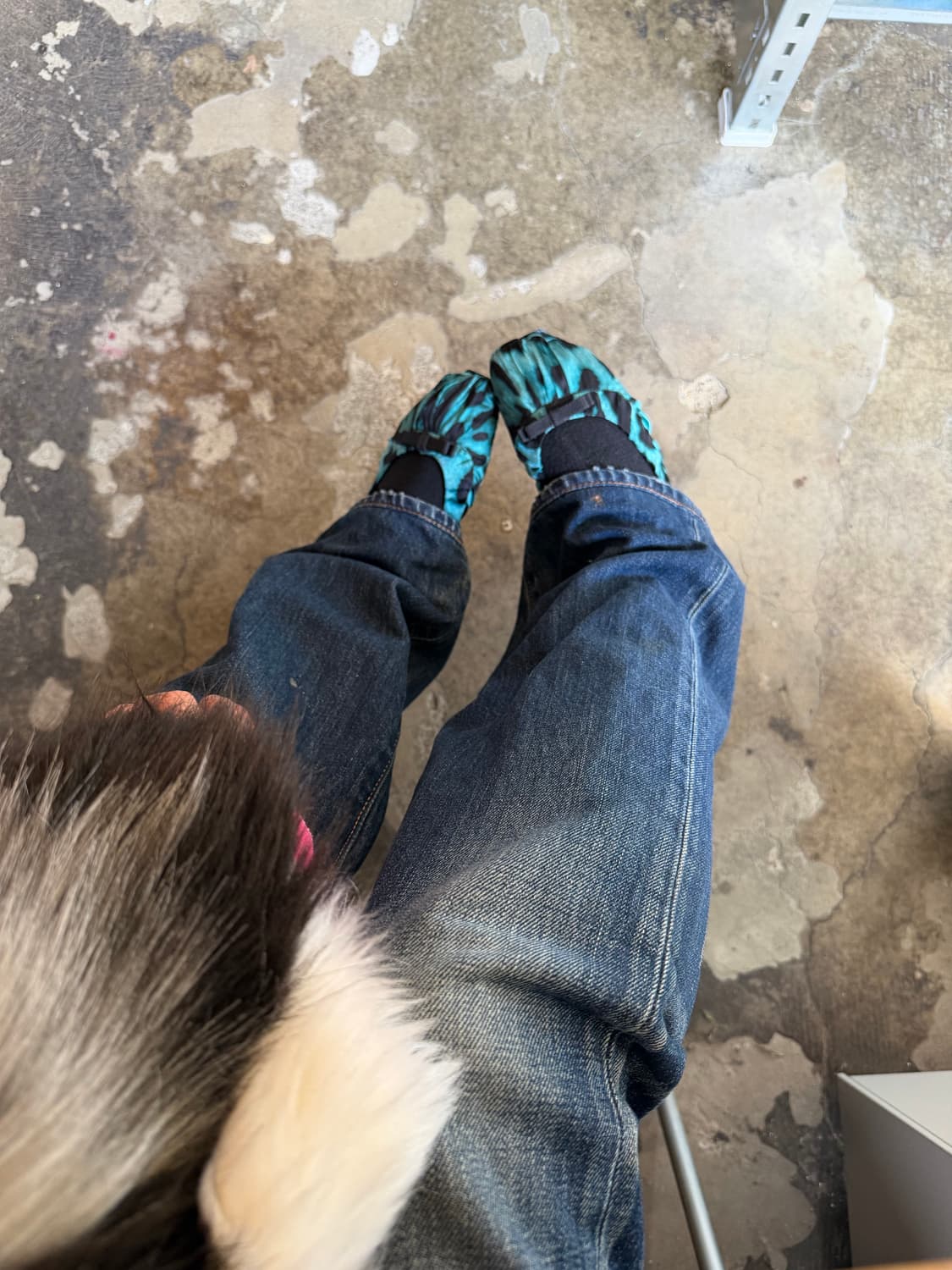 돌체앤가바나 레오파드 실크 플랫 슈즈 상품이미지6