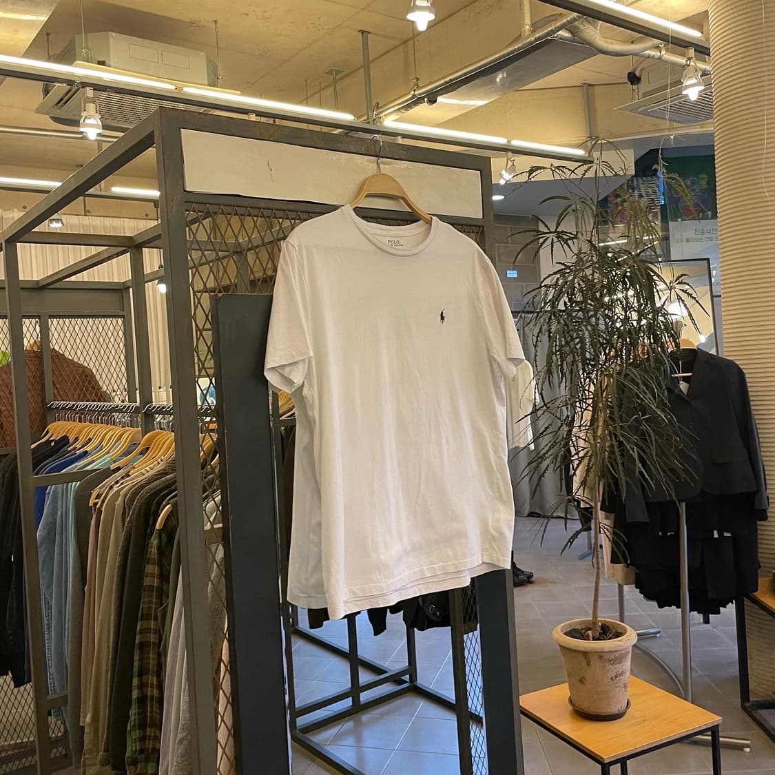 폴로 화이트 티셔츠 상품이미지1