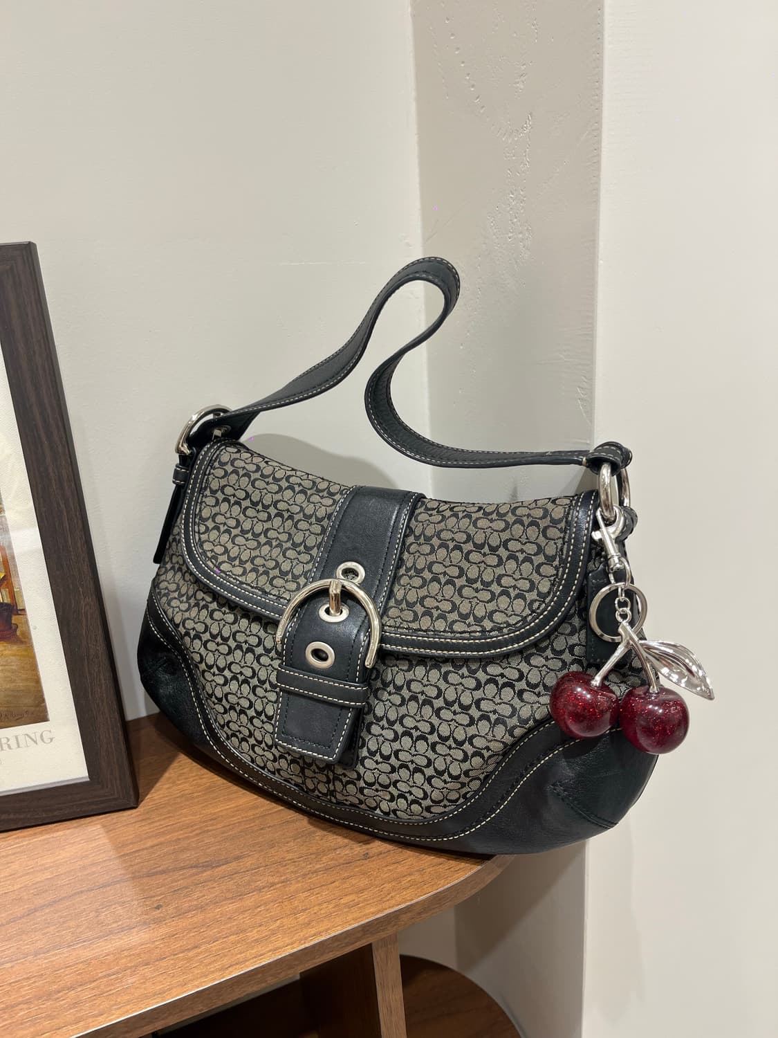 Coach Black Basic Bag 상품이미지1