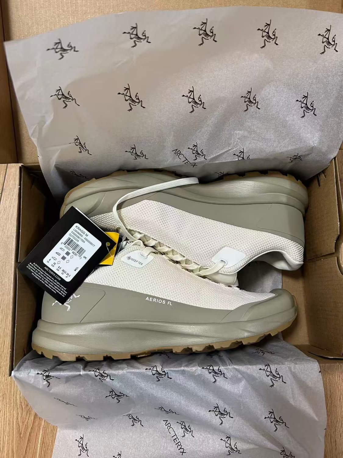 아크테릭스 에어리어스 FL 2 고어텍스 아크틱 실크 스모크 블러프 상품이미지1