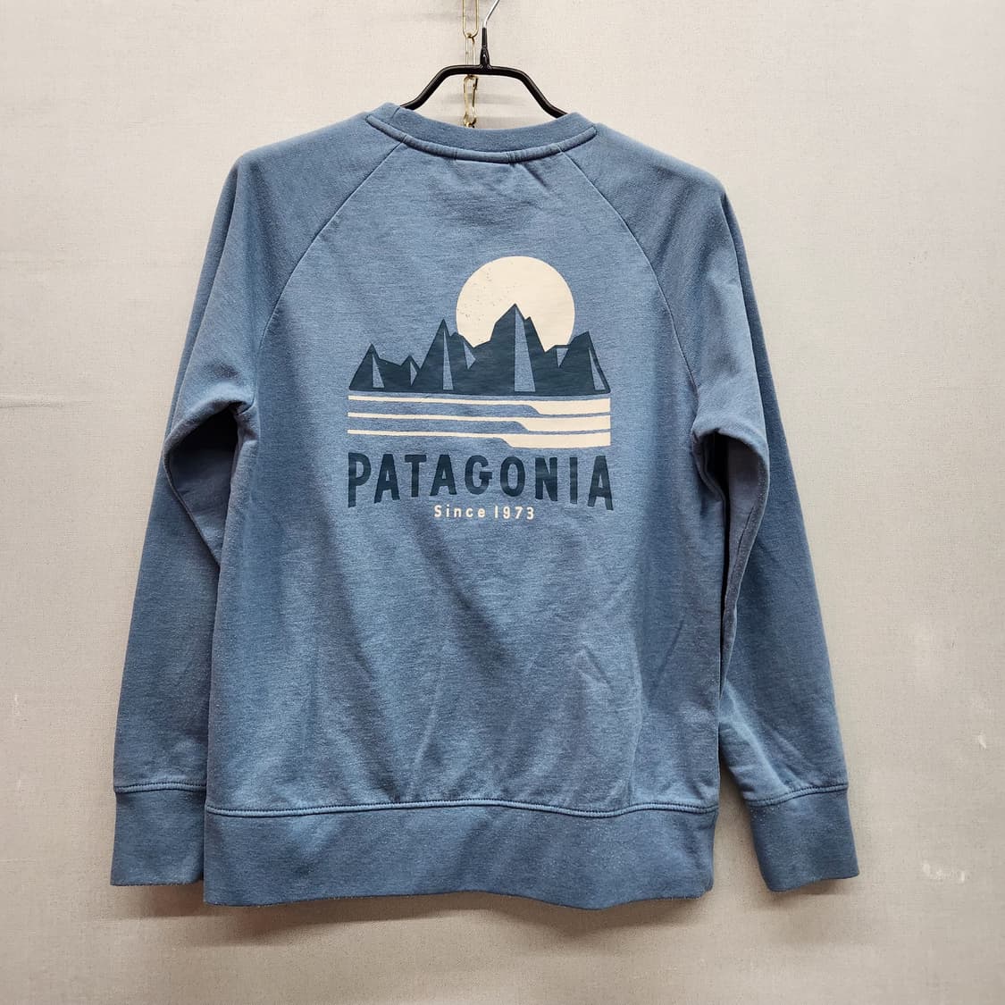 파타고니아 백 프린팅 맨투맨 L(M) 상품이미지1