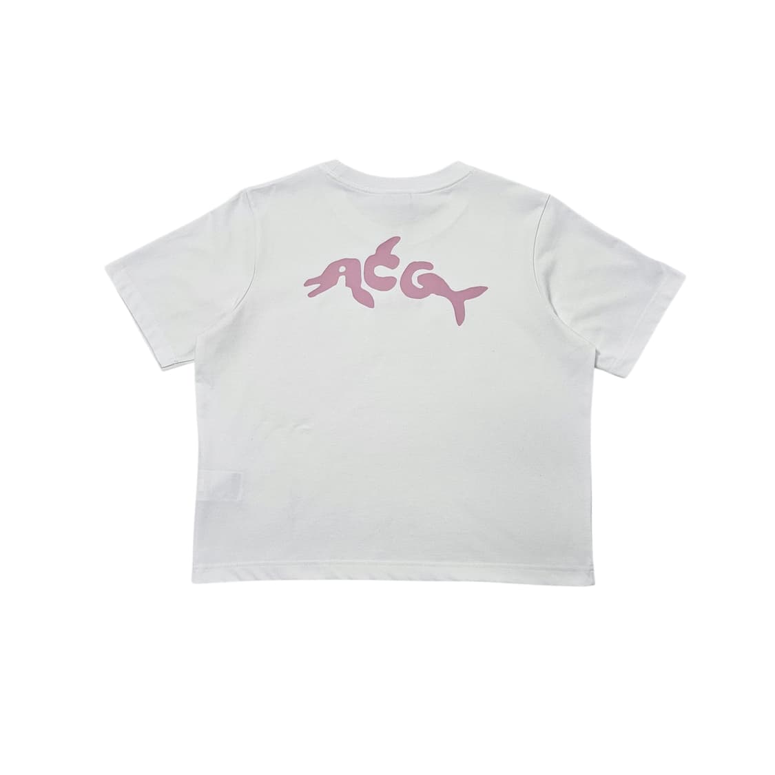 나이키 ACG 반팔티 상품이미지6