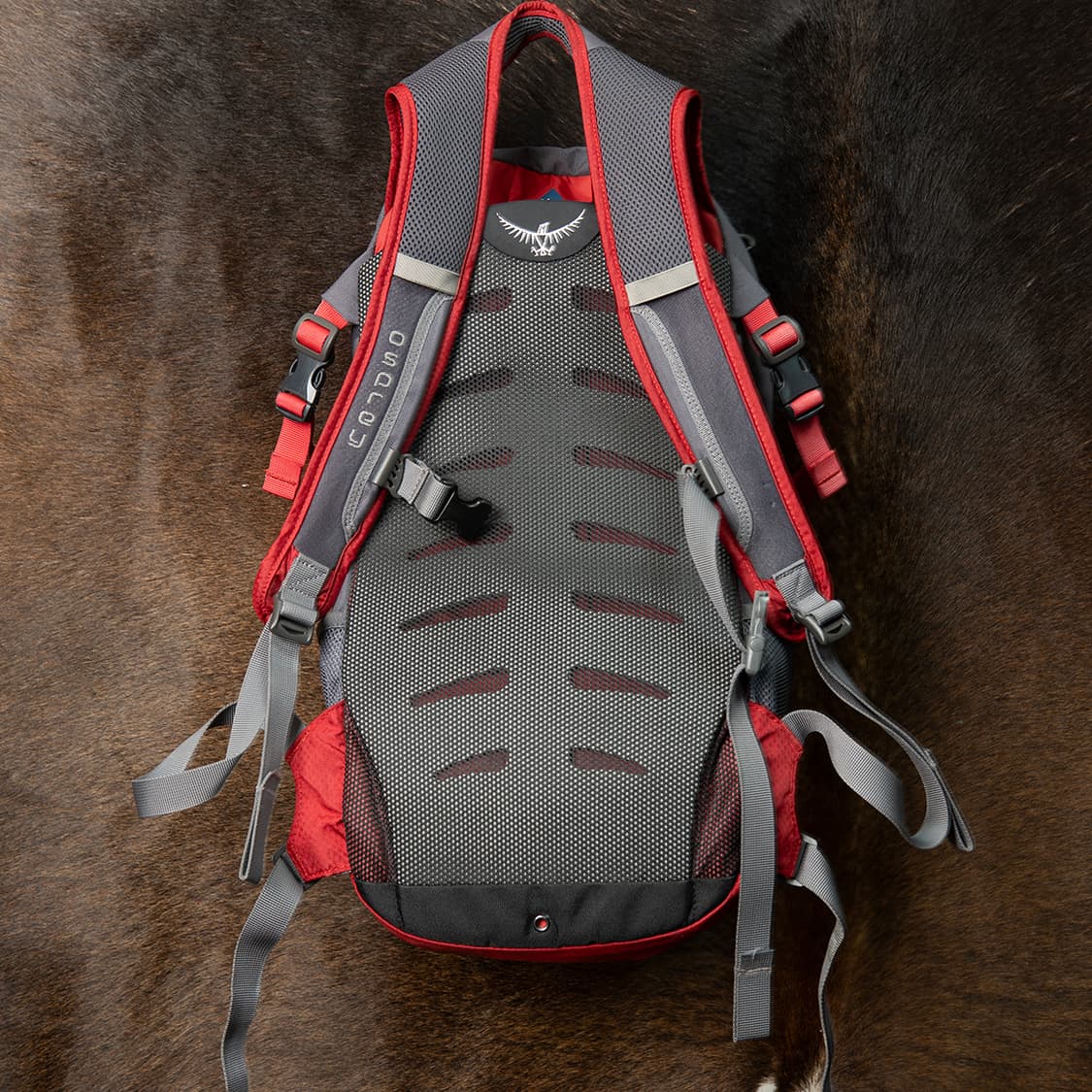 [13L] 오스프리 OSPREY 데이라이트 13L 백팩  상품이미지5