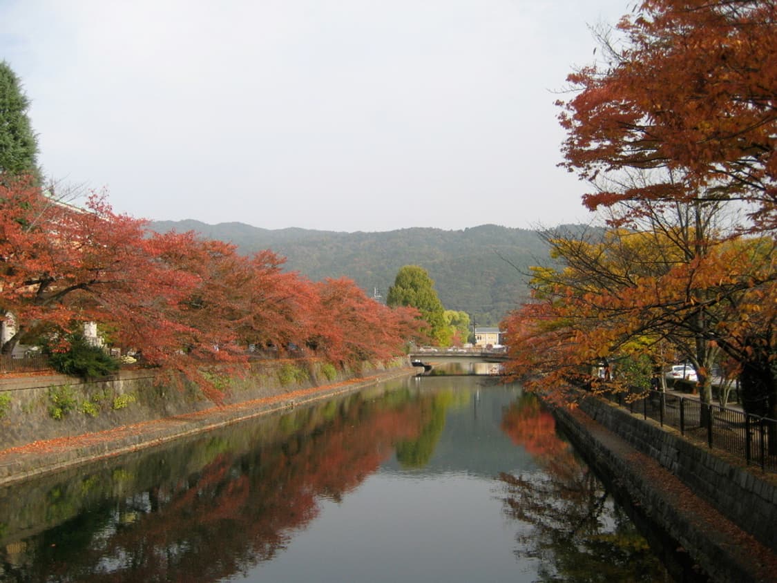 캐논 익서스 Canon  IXUS 75(ixy 90) 상품이미지2