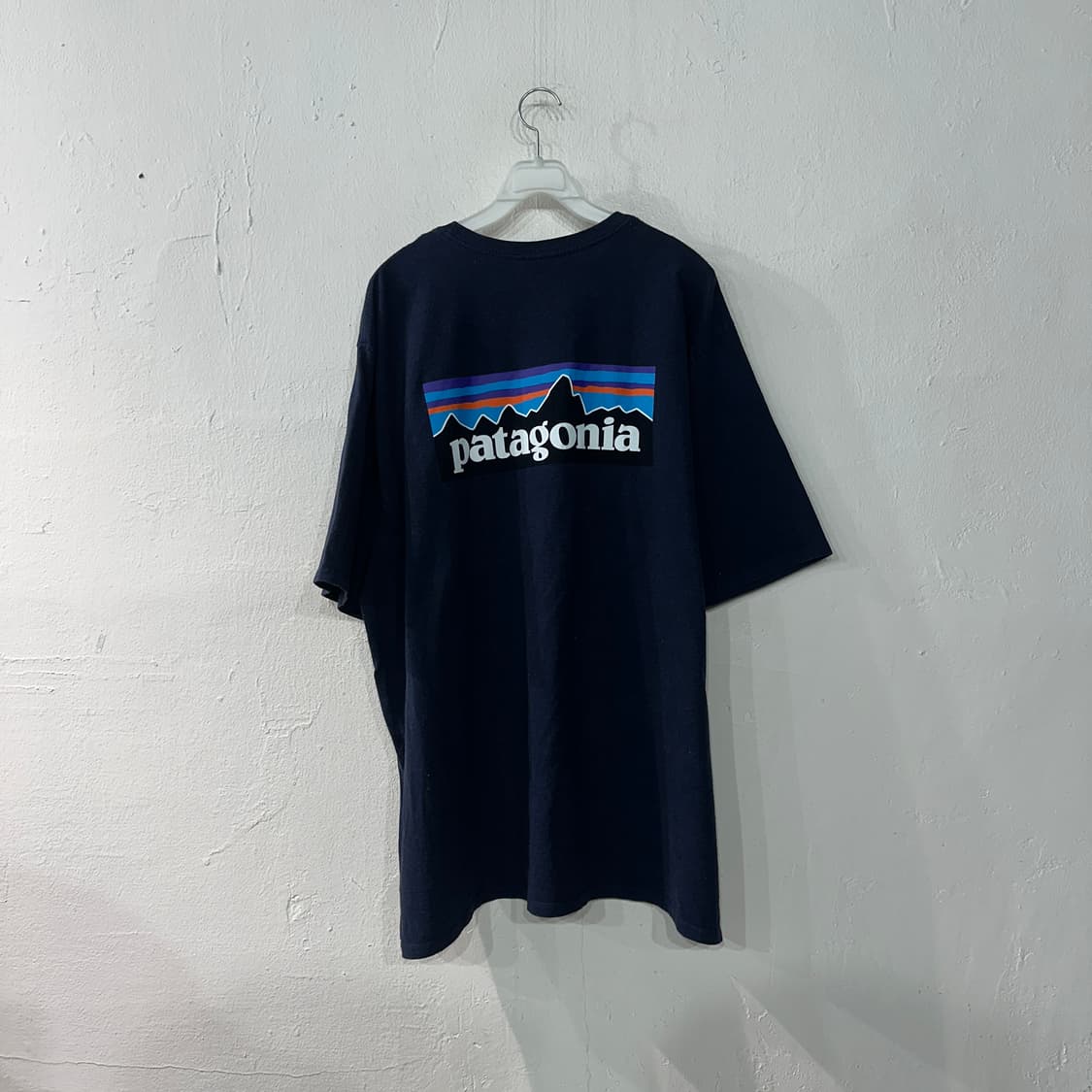 파타고니아 반팔티 110 상품이미지1