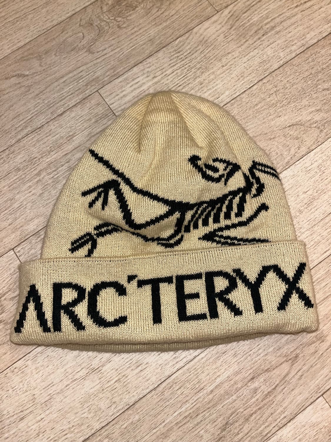 아크테릭스 비니  상품이미지2