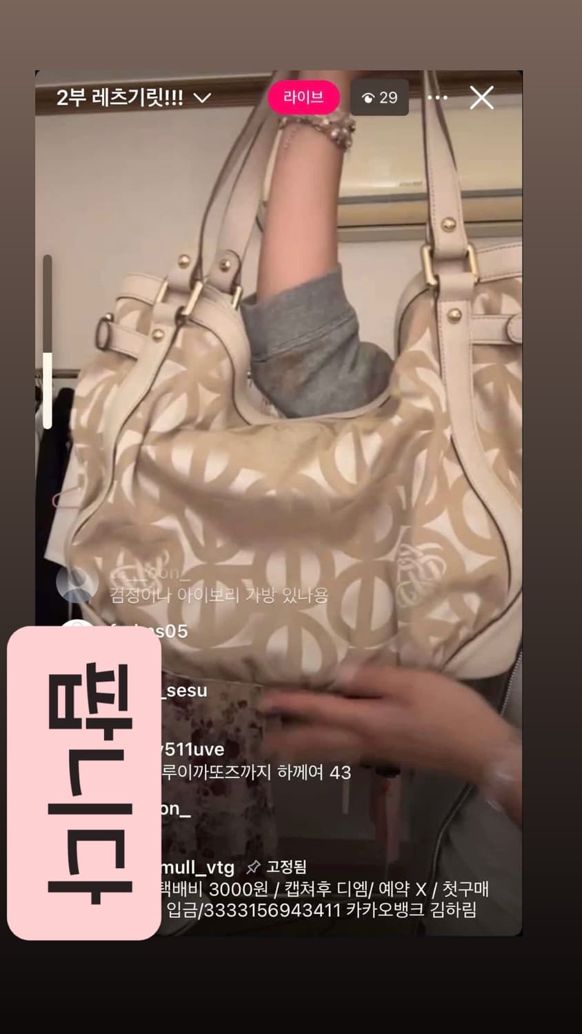 루이까또즈 오네히메라떼갸루 짜잔씨 빈티지 가방 코치깔 핀터Y2K펑크파우닝 상품이미지1