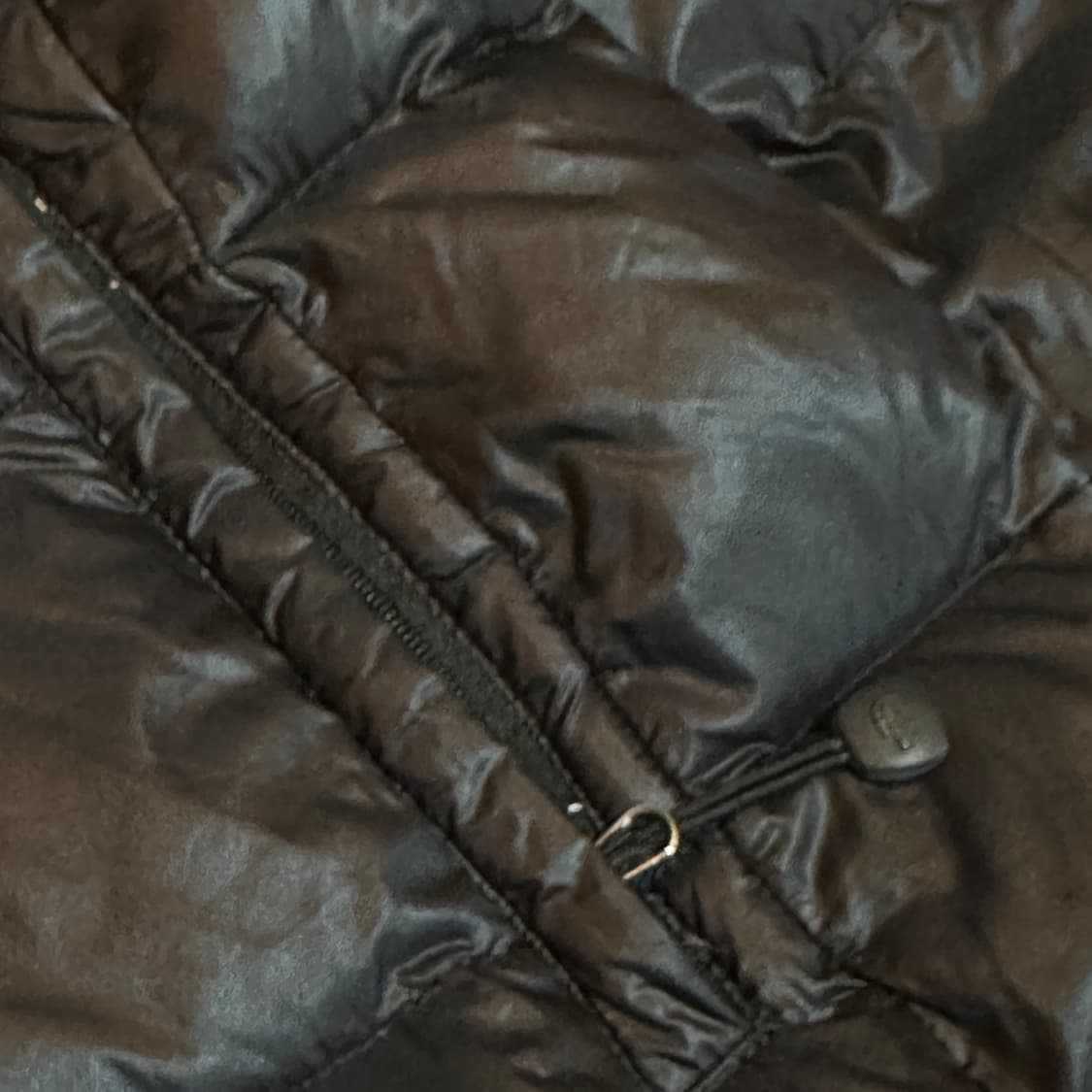 노스페이스 퍼텍스 700 구스다운 후드 패딩 상품이미지3