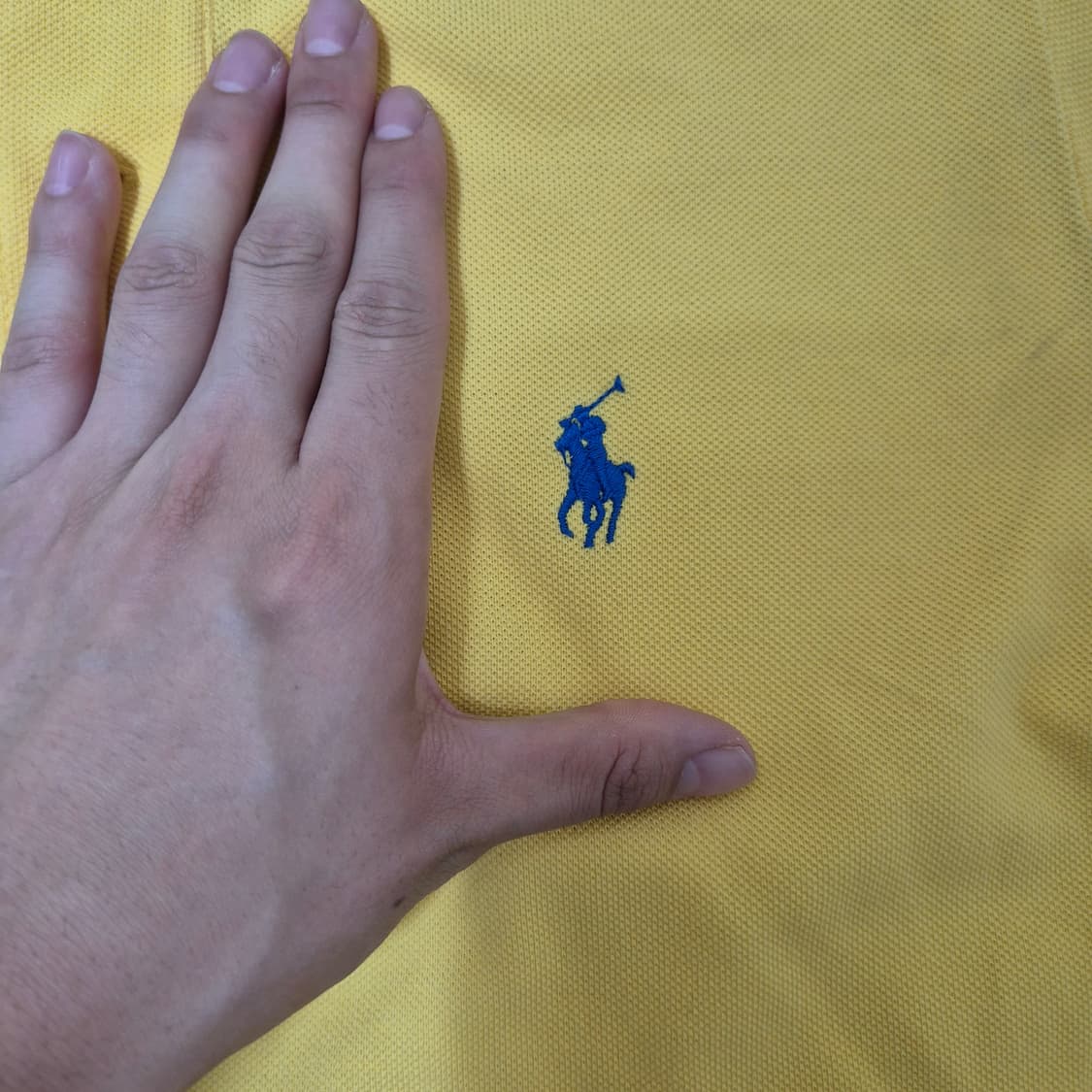 폴로 랄프로렌 여성 반팔 카라 원피스 상품이미지4