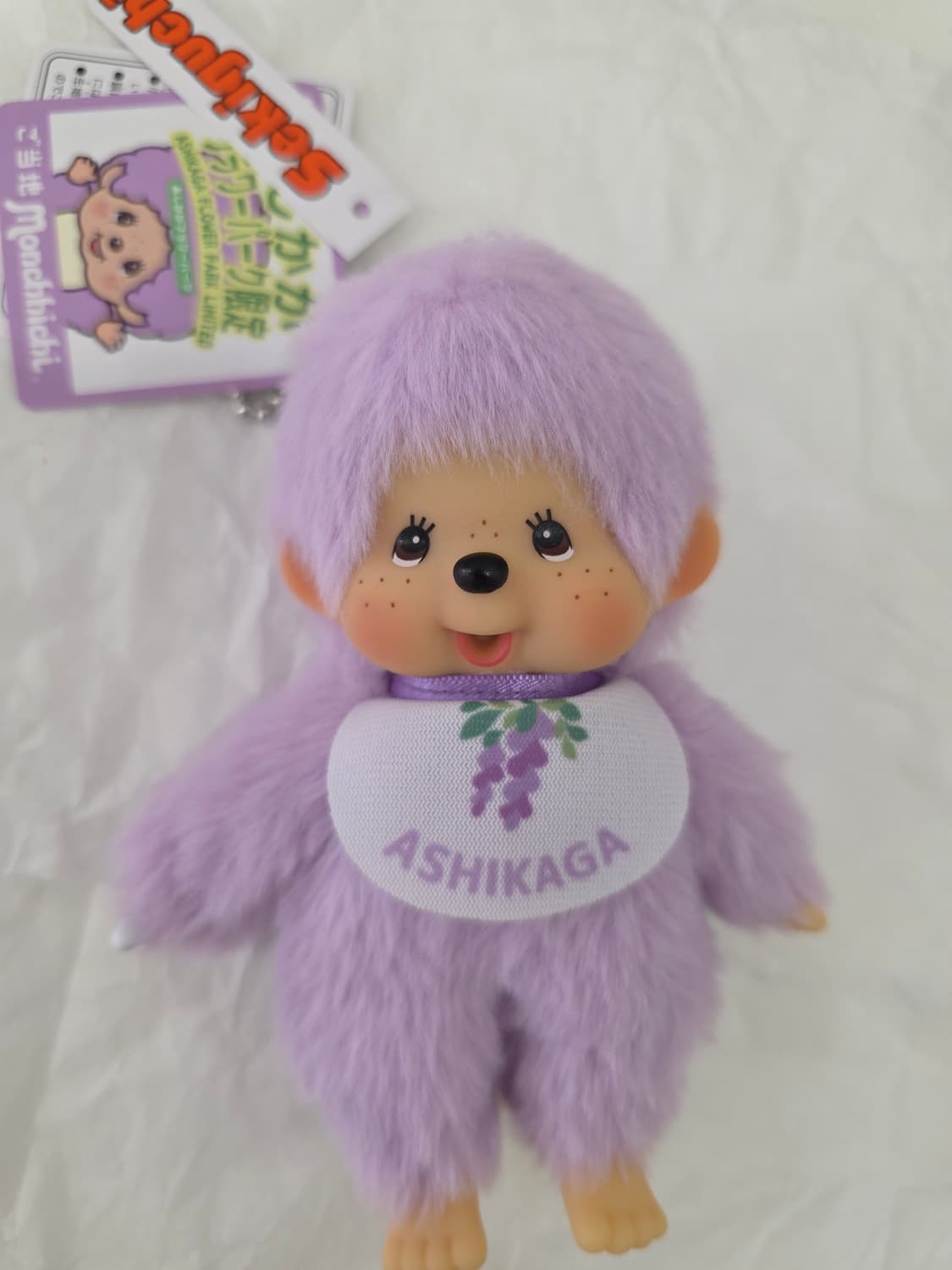 지역한정몬치치 상품이미지3
