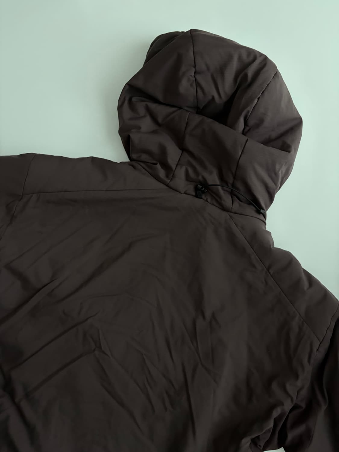 [L] 아크테릭스 아톰 AR 피그먼트 상품이미지6