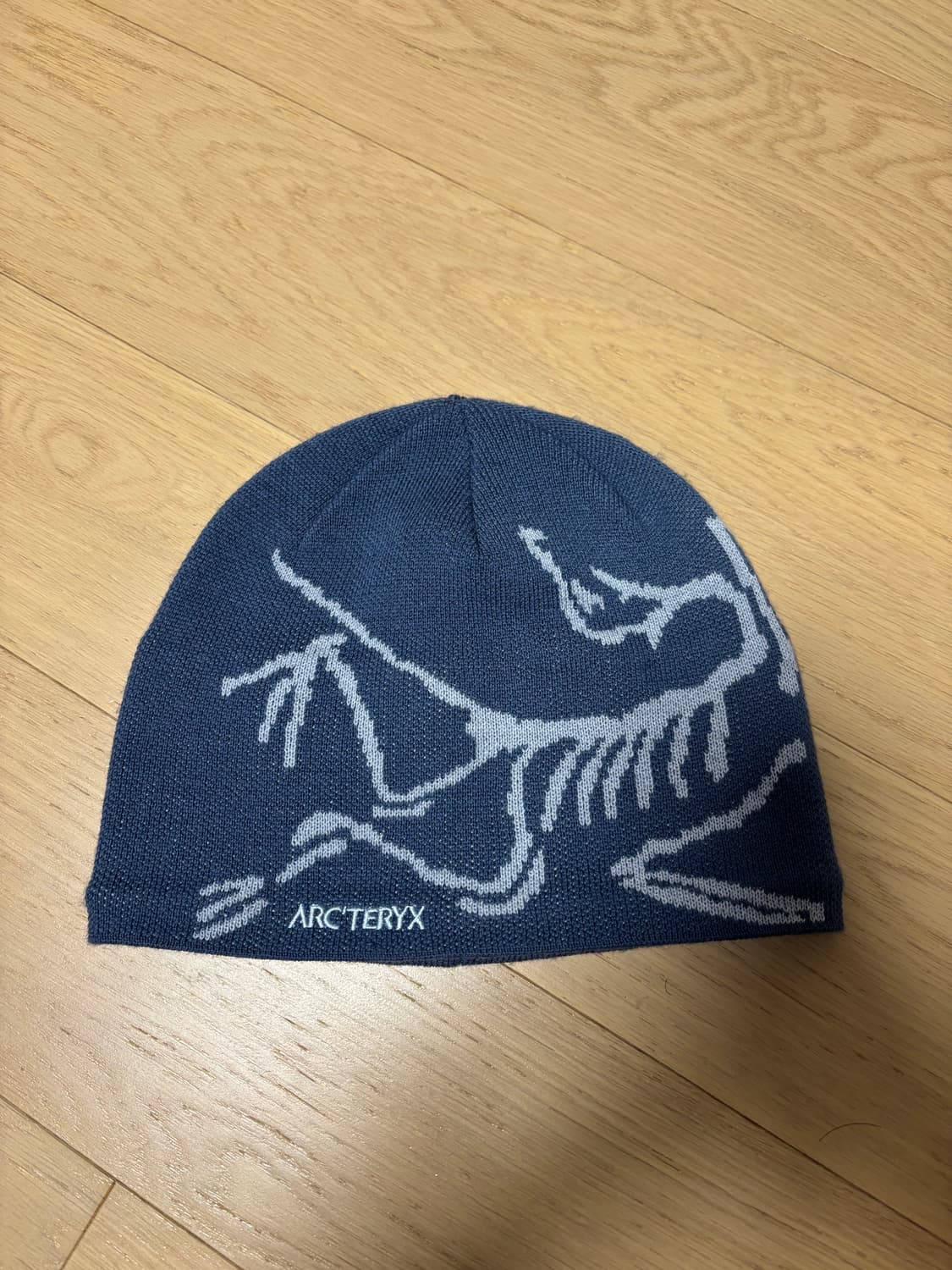 아크테릭스 비니 상품이미지1