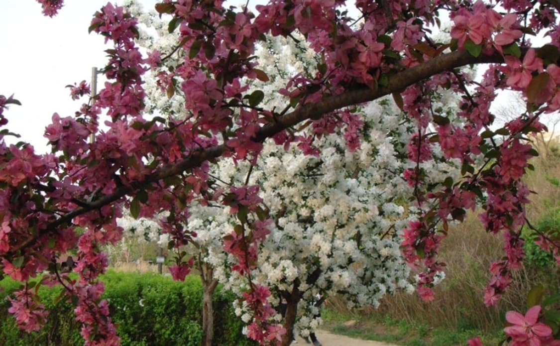 소니 하이엔드 디카 사이버샷 DSC-T500 빈티지 카메라 상품이미지9