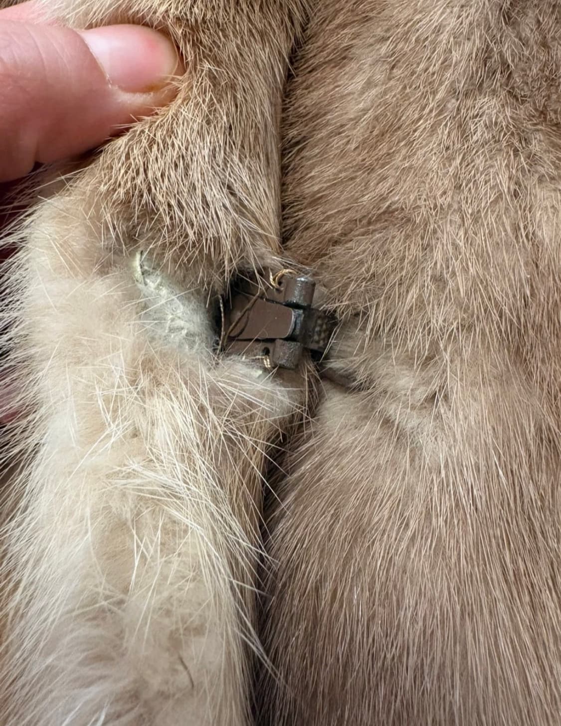 사가밍크 일빈 상품이미지7