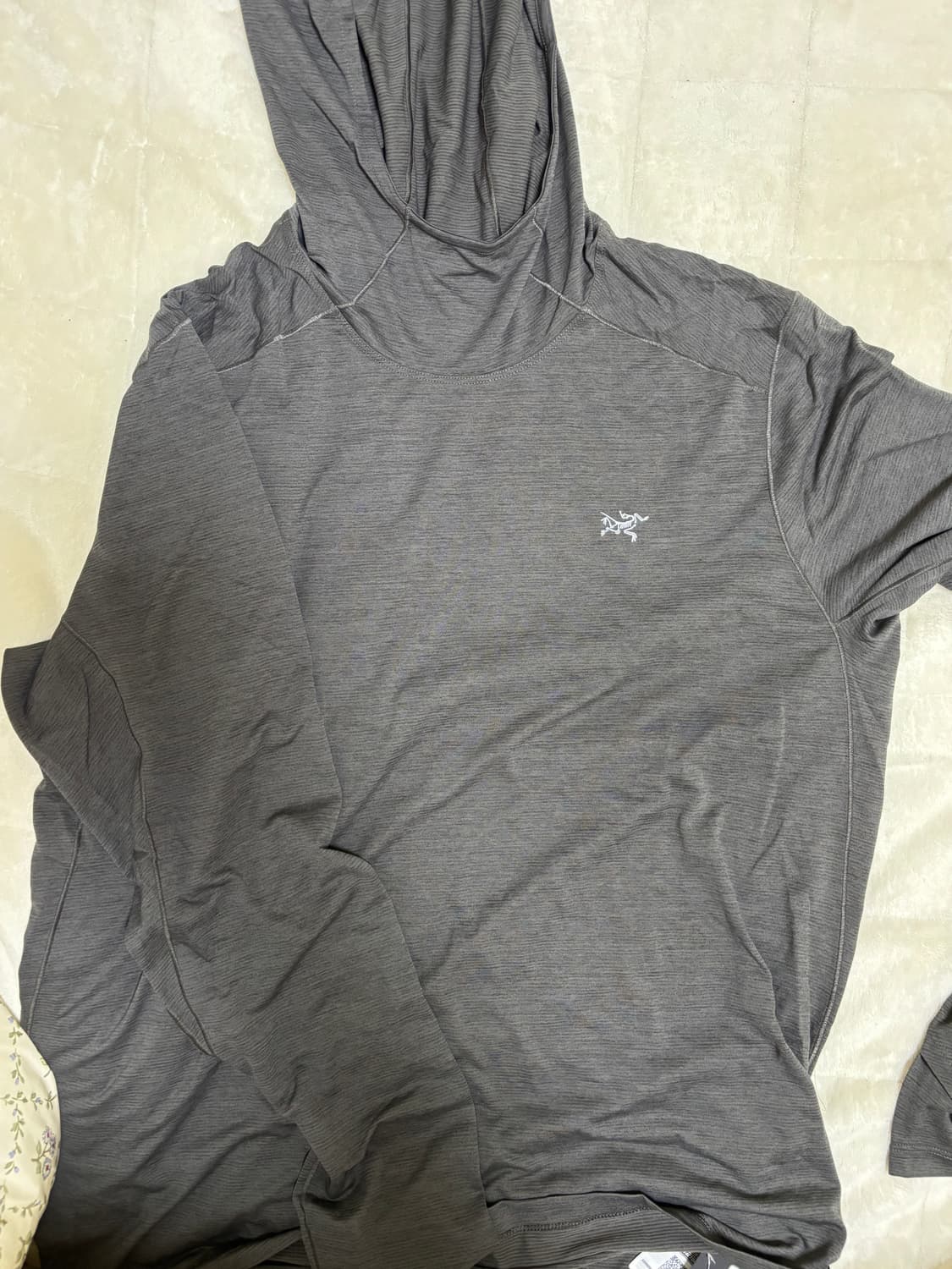 아크테릭스 후드티 m사이즈 상품이미지1