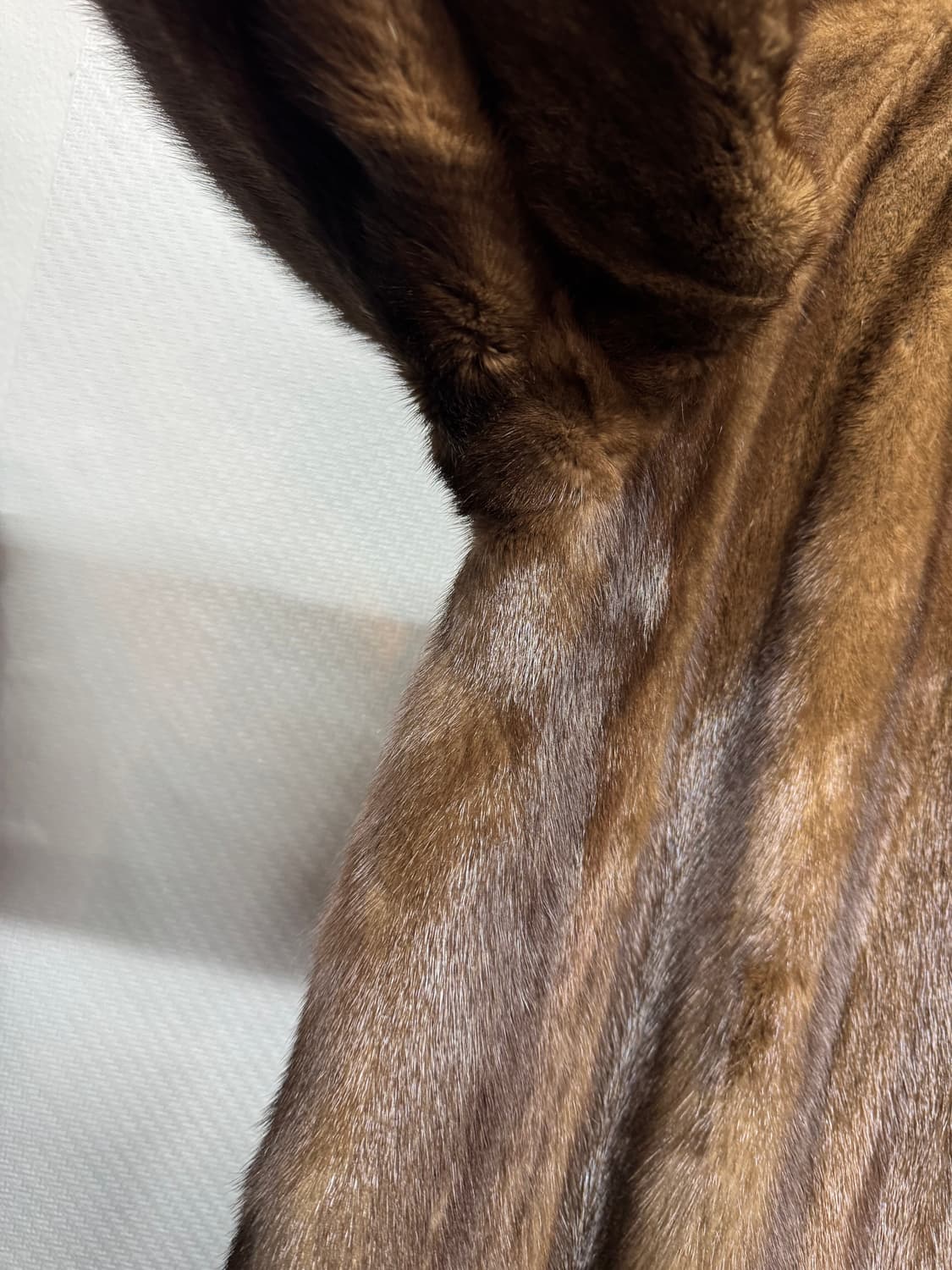 콘코르디아 사가밍크 로얄등급 통밍크77(M~L) 상품이미지3