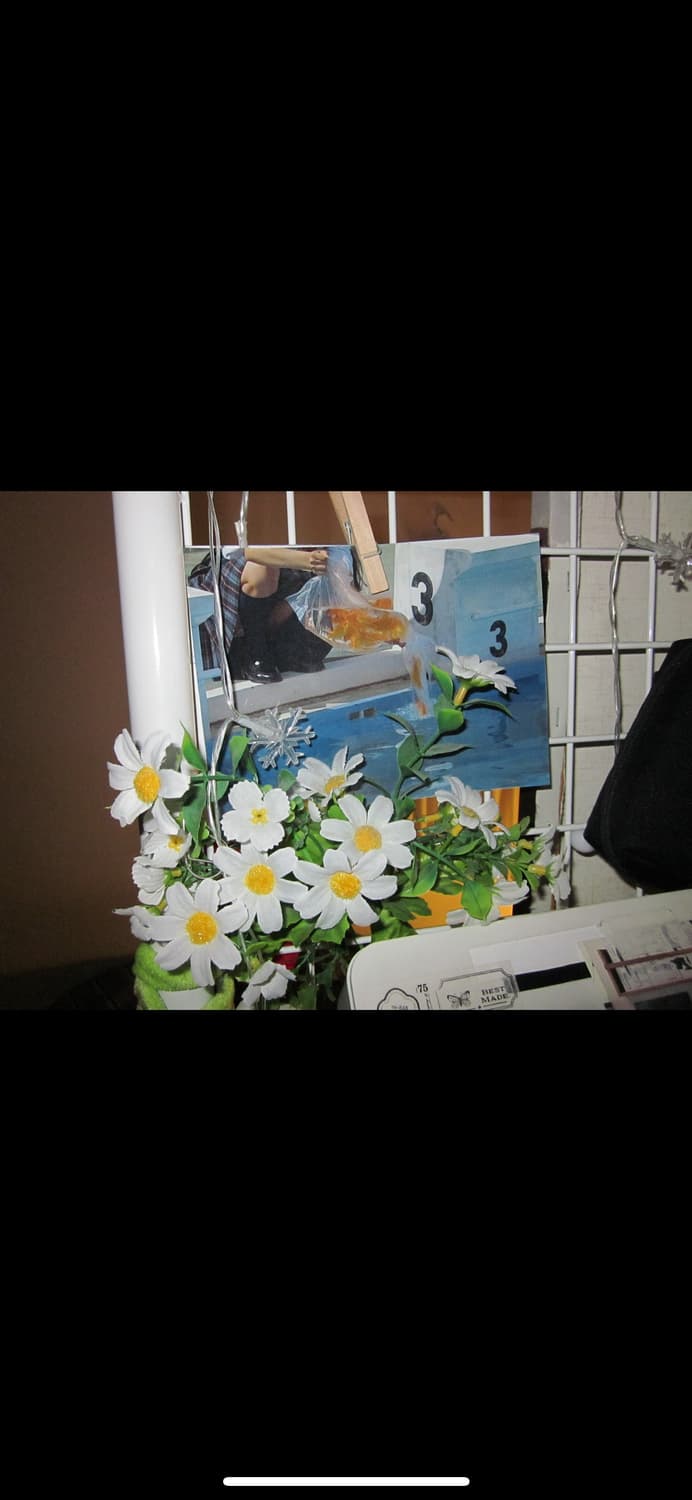 캐논 IXUS 105 IS (파워삿 SD1300 IS ,ixy 200F) 상품이미지2