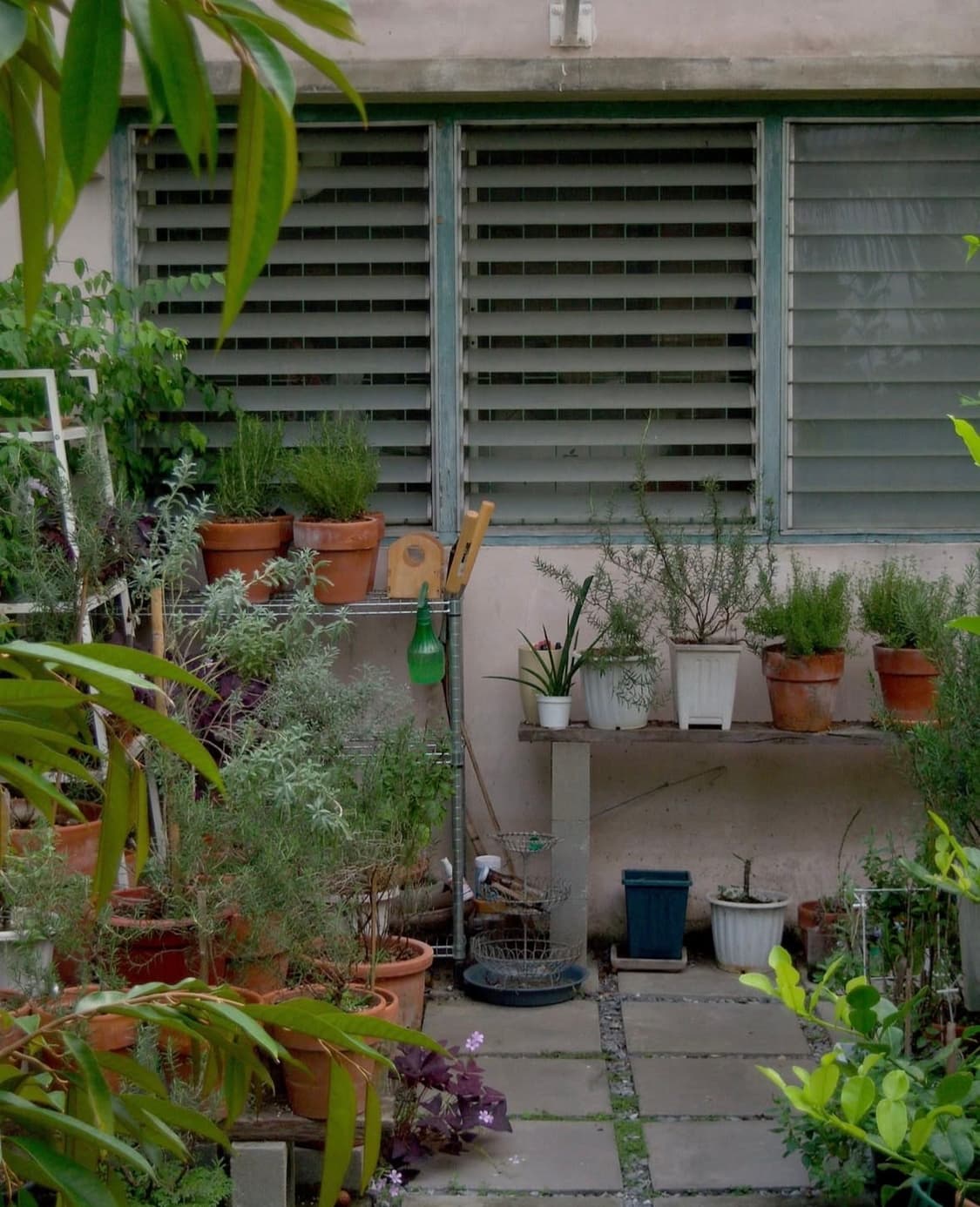 코닥 이지쉐어 v1003 디지털카메라 상품이미지10