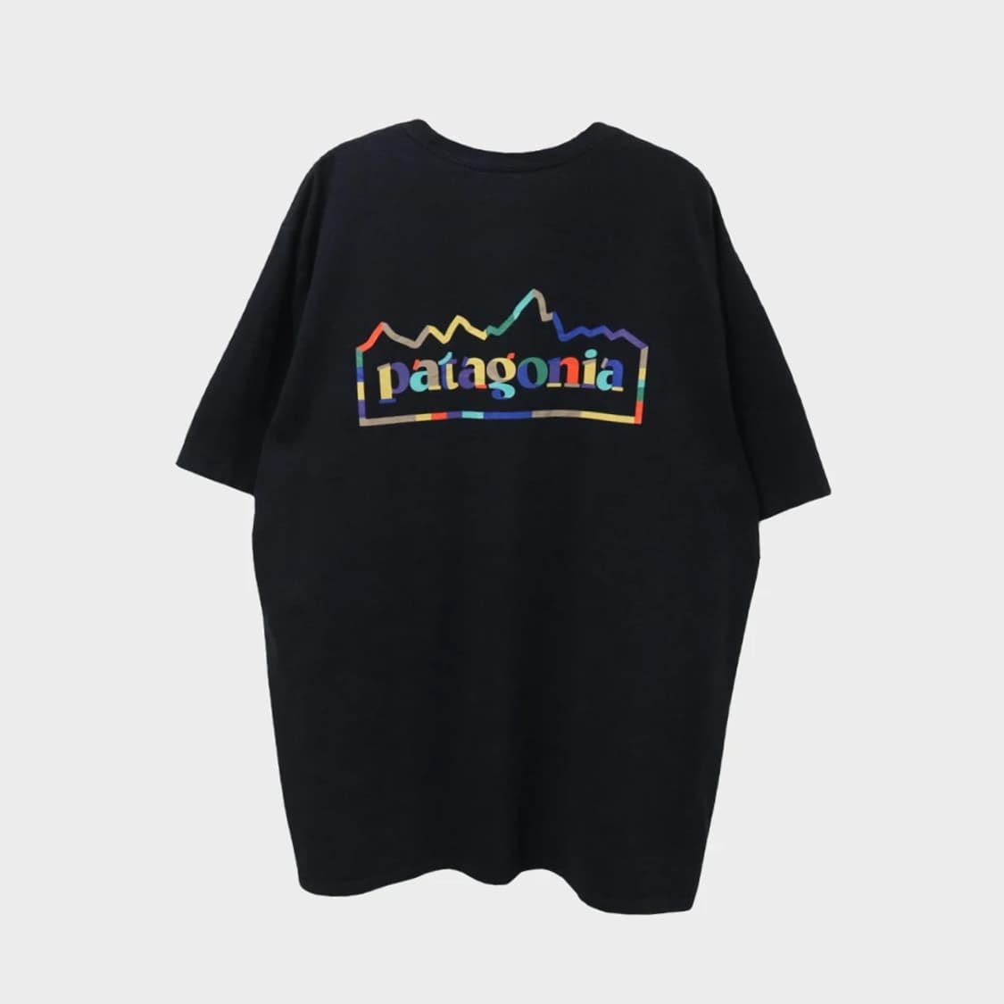 파타고니아 로고 반팔티셔츠 66422 상품이미지1