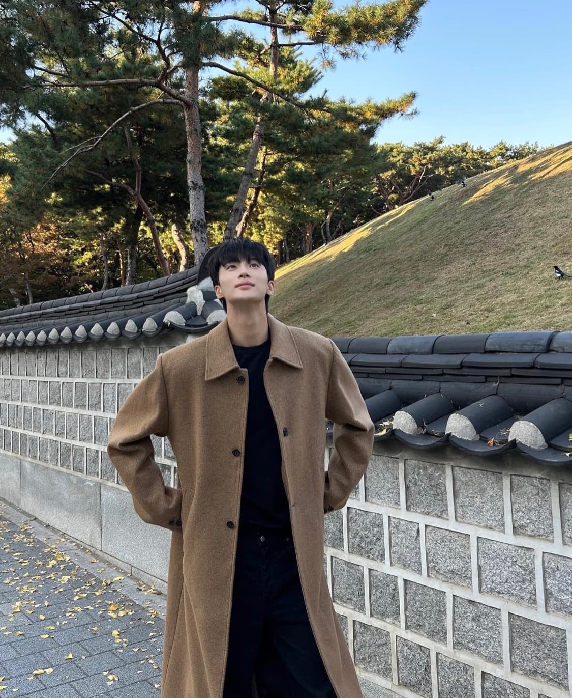 아더에러 에딘코트 m size 변우석 코트 상품이미지2