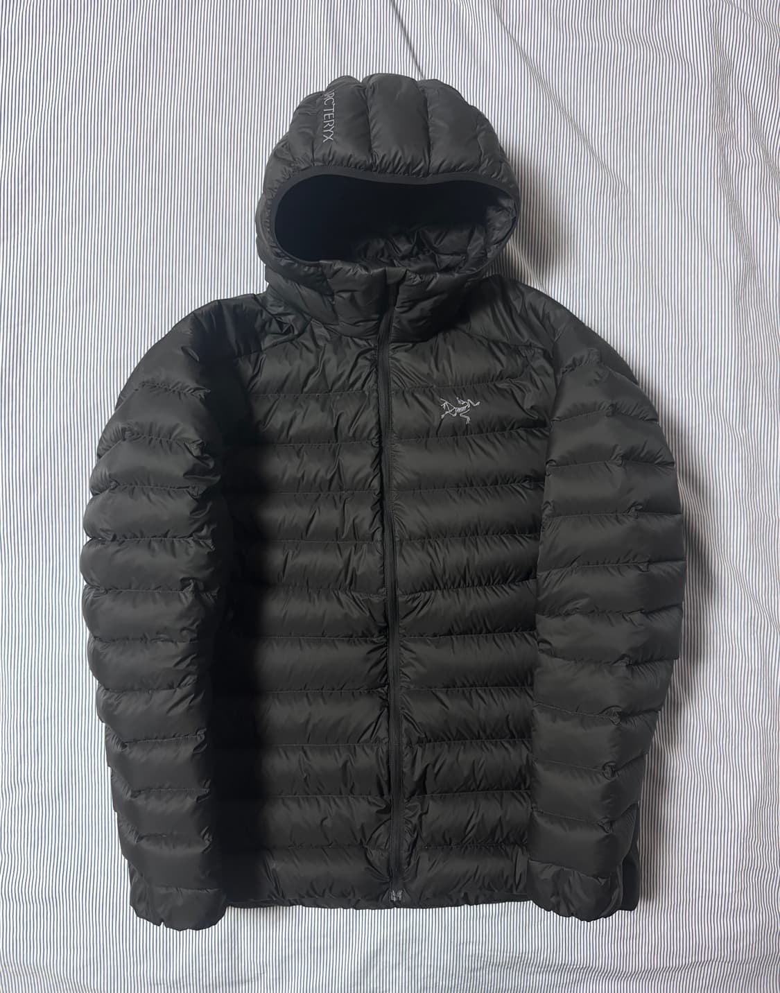 (SS급) 아크테릭스 세륨 후디 블랙 L 상품이미지2