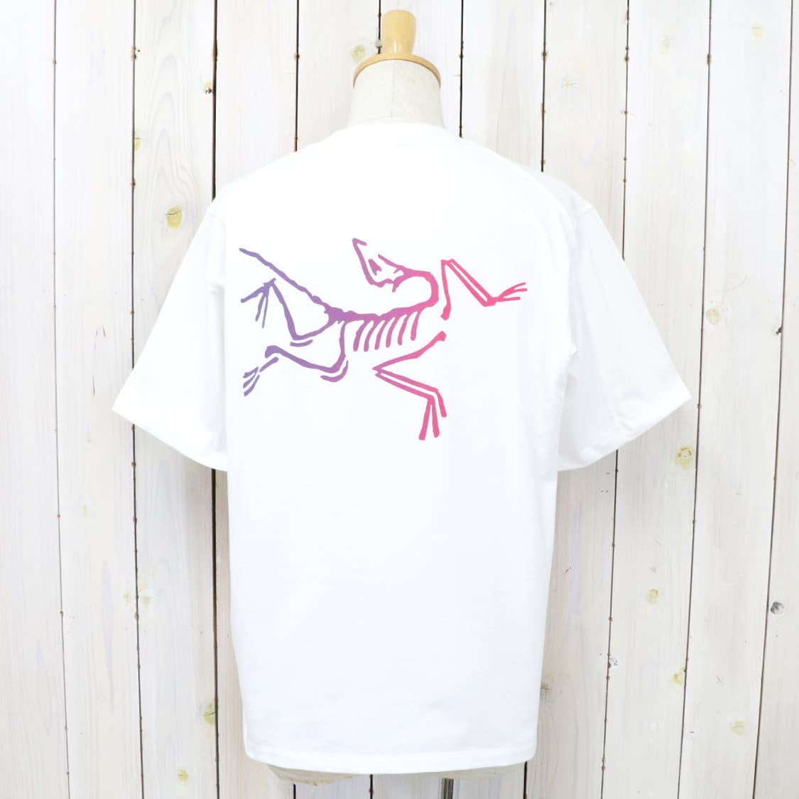 ARC'TERYX 아크테릭스 Kragg Cotton Logo SS 상품이미지3