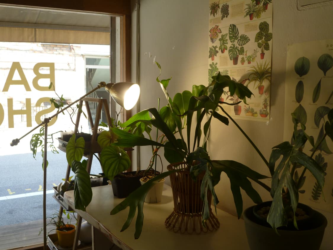 [초보추천템]Panasonic DMC-LS2실버 빈티지디카  상품이미지10