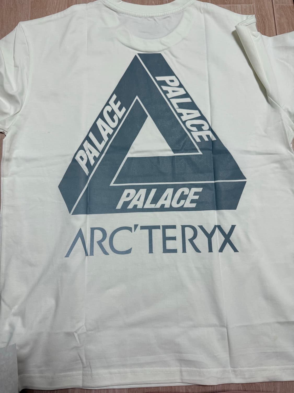 Arc’teryx × Palace 한정 콜라보 티셔츠 / L 상품이미지2