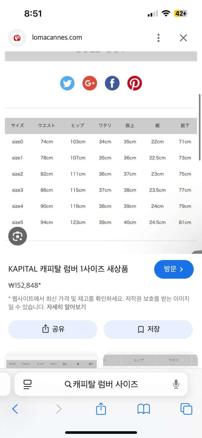 캐피탈 씬 럼버 카나리 5사이즈 상품이미지7
