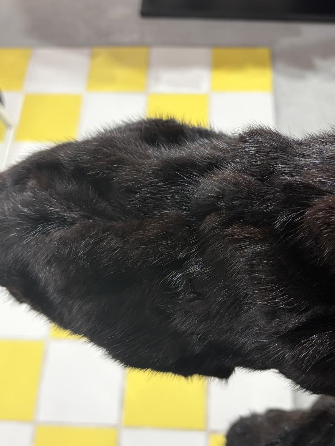 [m] jindo mink 100% 진도 밍크 퍼코트 상품이미지3