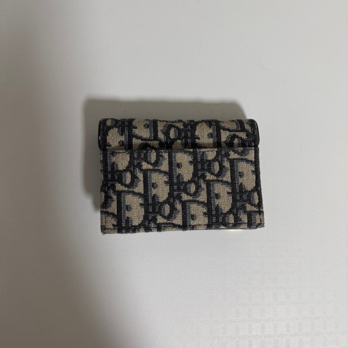 디올 오블리크 새들 카드지갑 상품이미지2