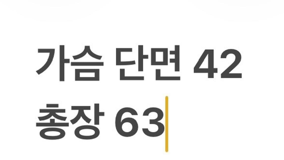 [정품/2] 랄프로렌 스트라이프 셔츠 남방 b13 상품이미지7