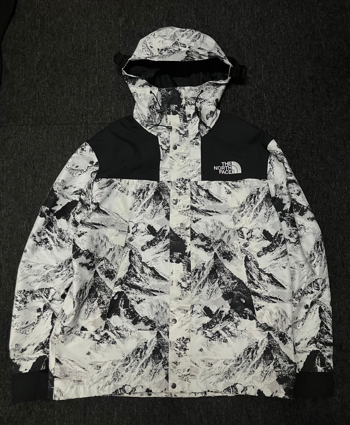 노스페이스 노벨티 에코 고어텍스 마운틴 설산 자켓 상품이미지1