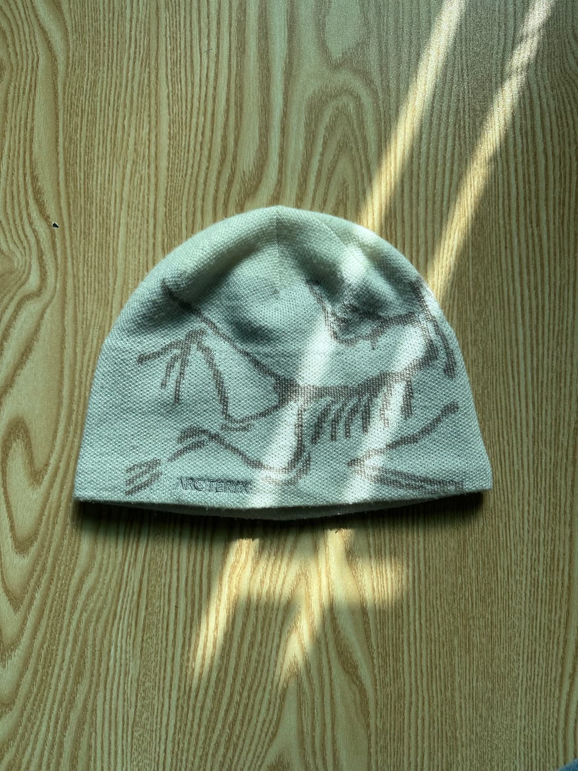 아크테릭스 비니 상품이미지1