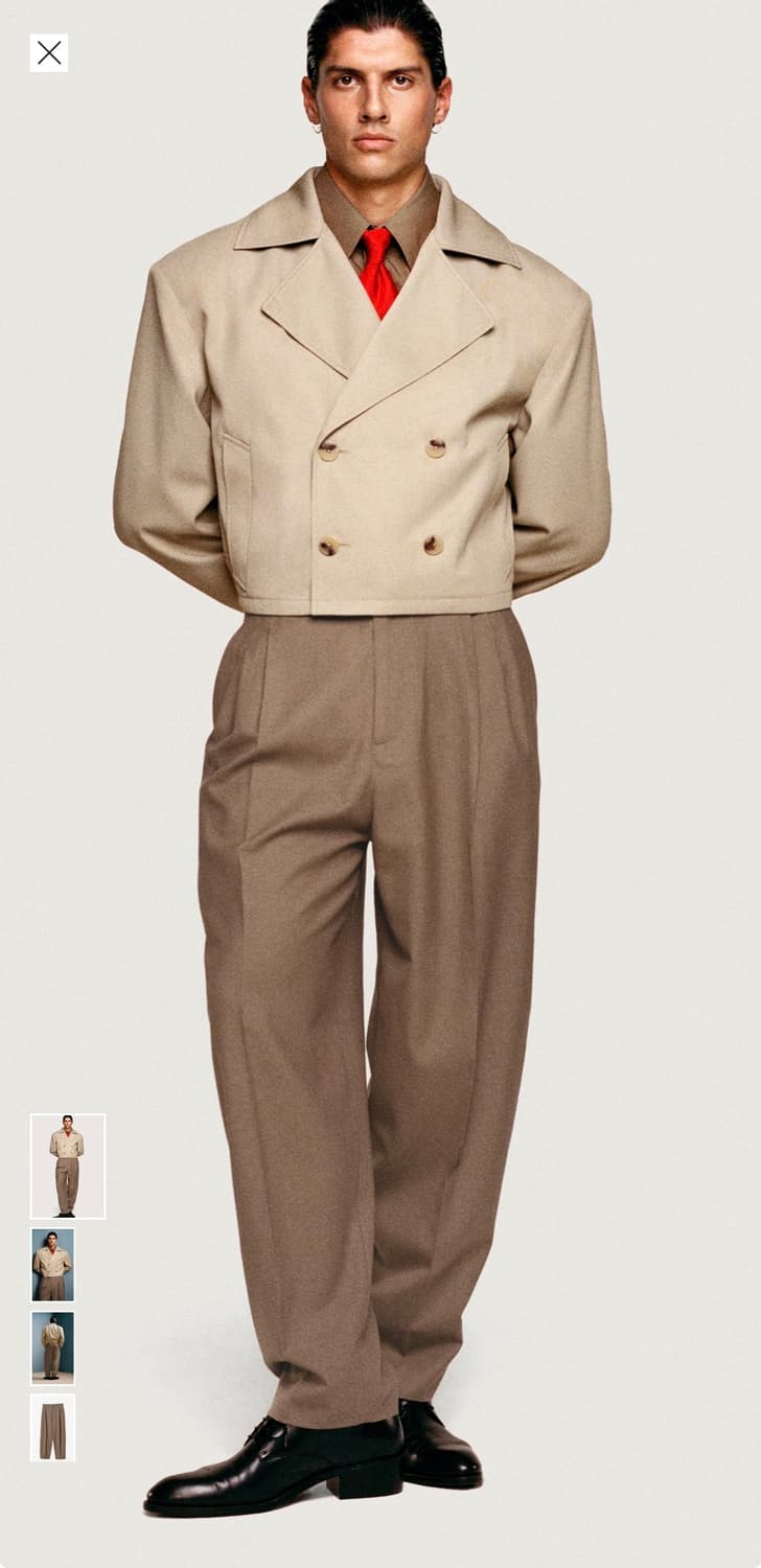 자라 x 윌리 차바리아 플리츠 수트 트라우저 카멜 상품이미지5