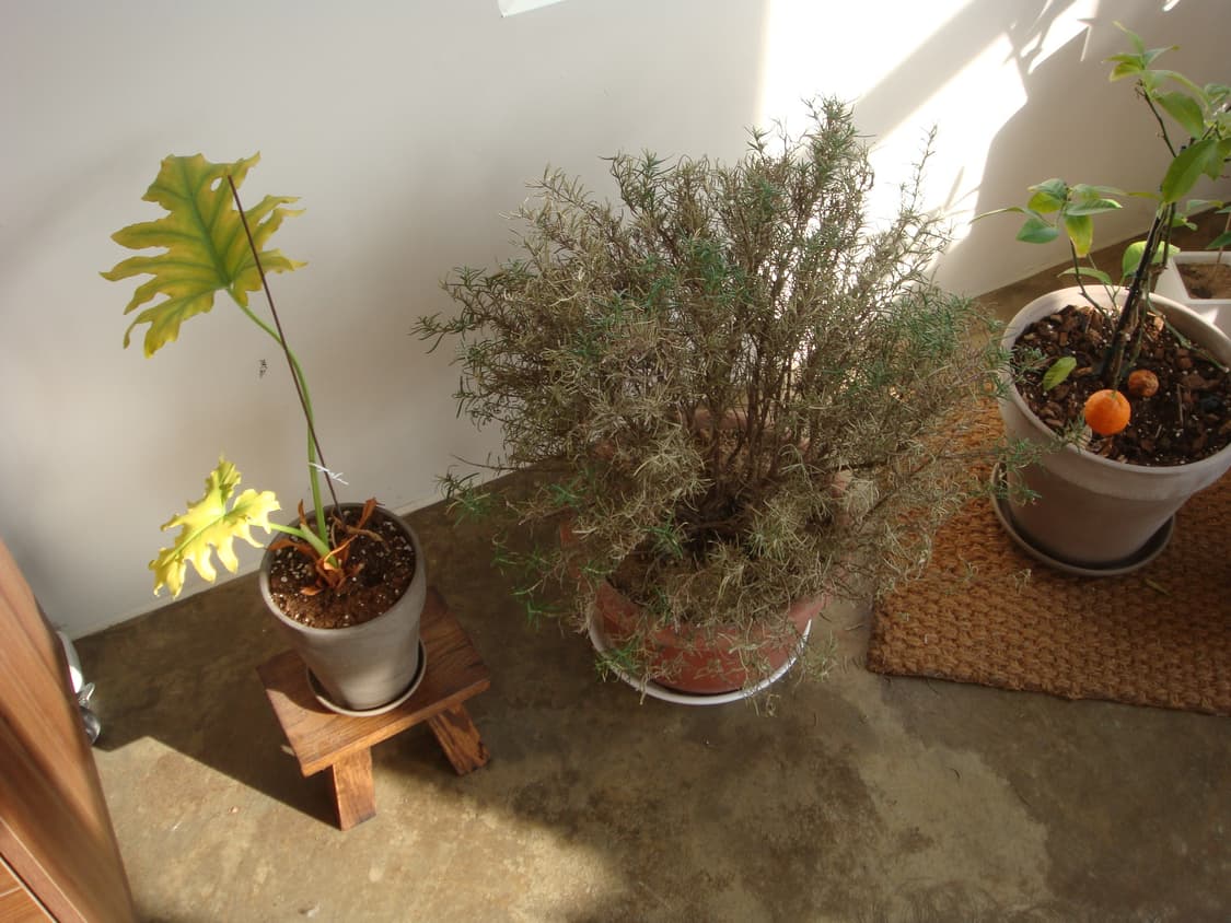 소니 사이버샷 dsc- t2 상품이미지6