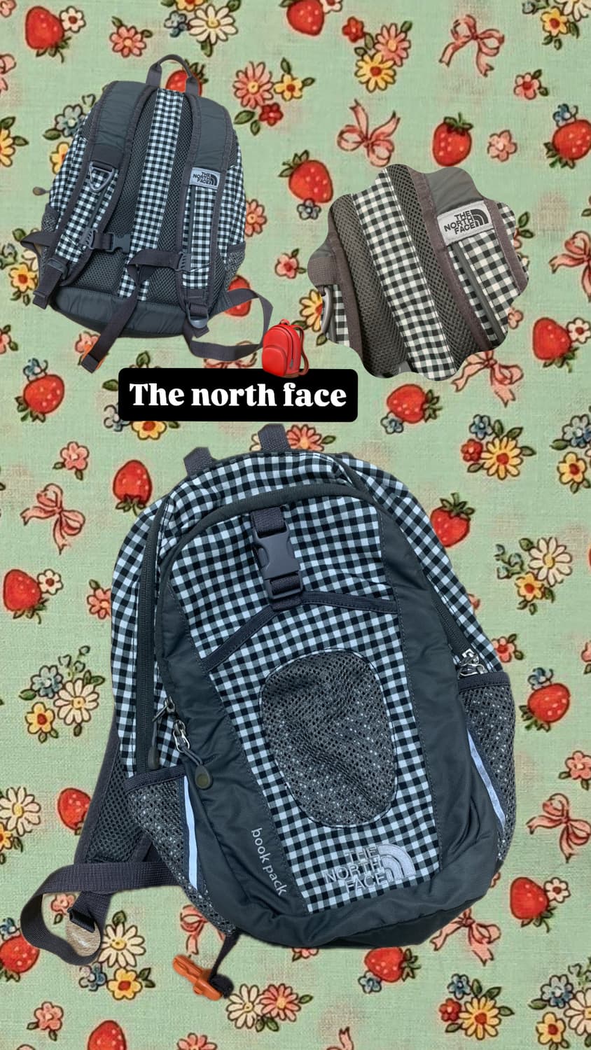 The north face 노스페이스 체크백팩  상품이미지1