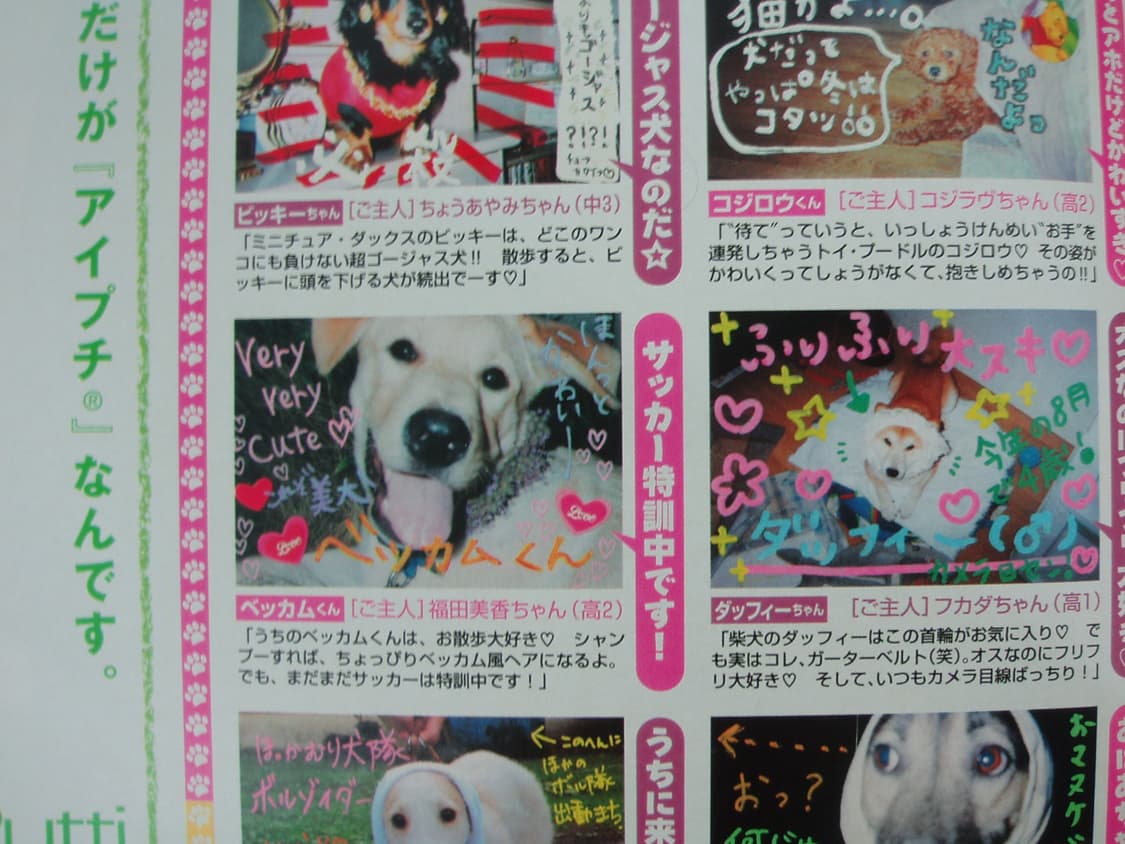 작례📸Olympus Mju Mini 올림푸스 뮤 미니 실버 상품이미지7