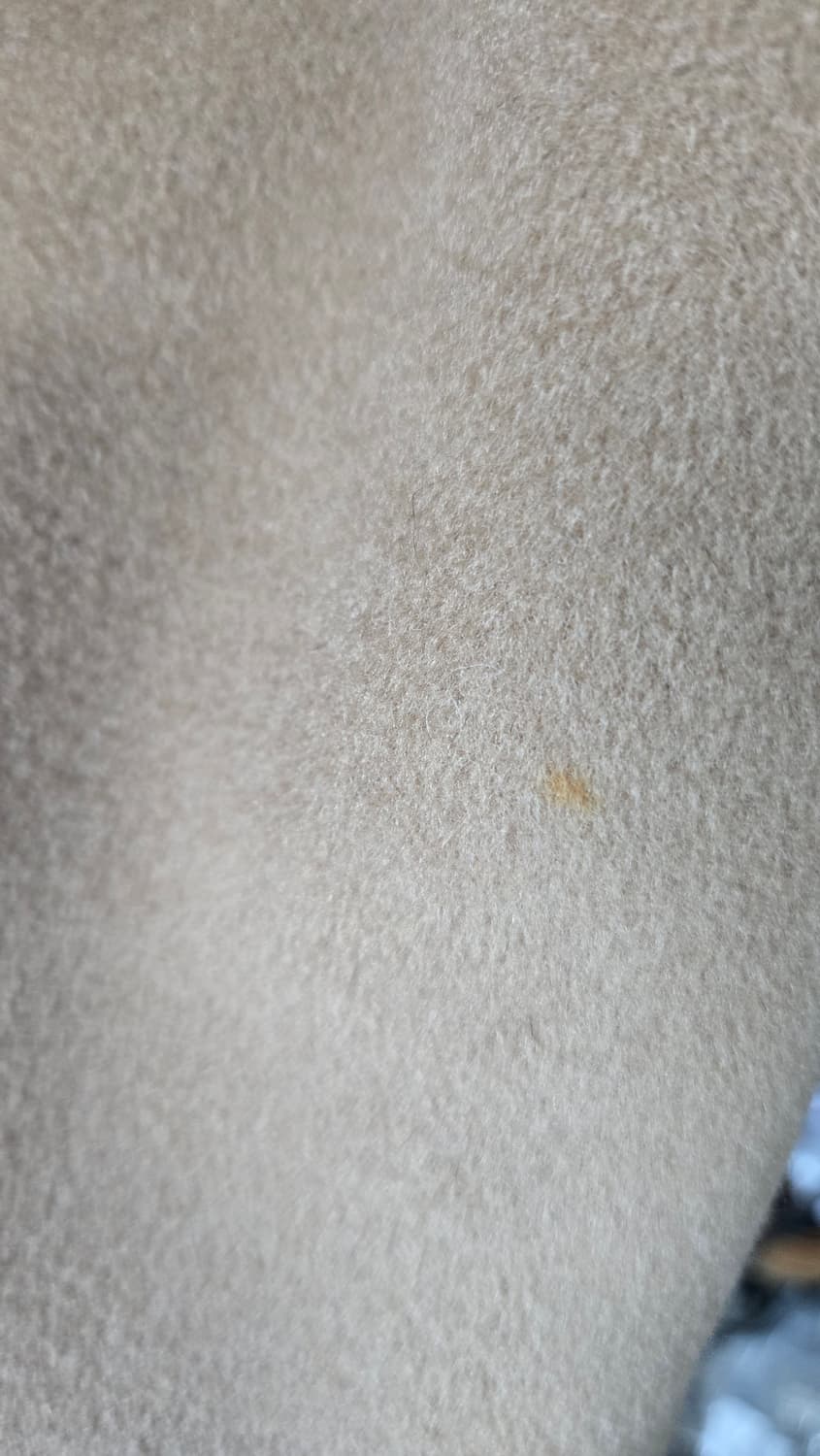 막스마라 계열 마리나 리날디  카멜코트 상품이미지6